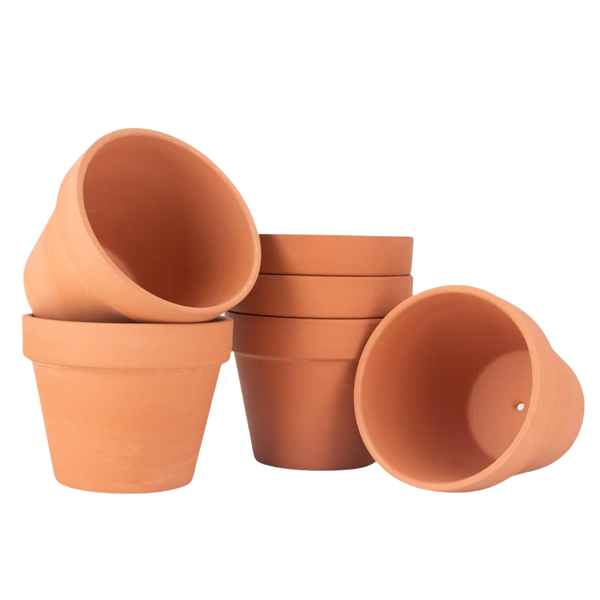 6pcs 4 inch Terracotta Pots Fl - Echeveria Succulent 评论和价格