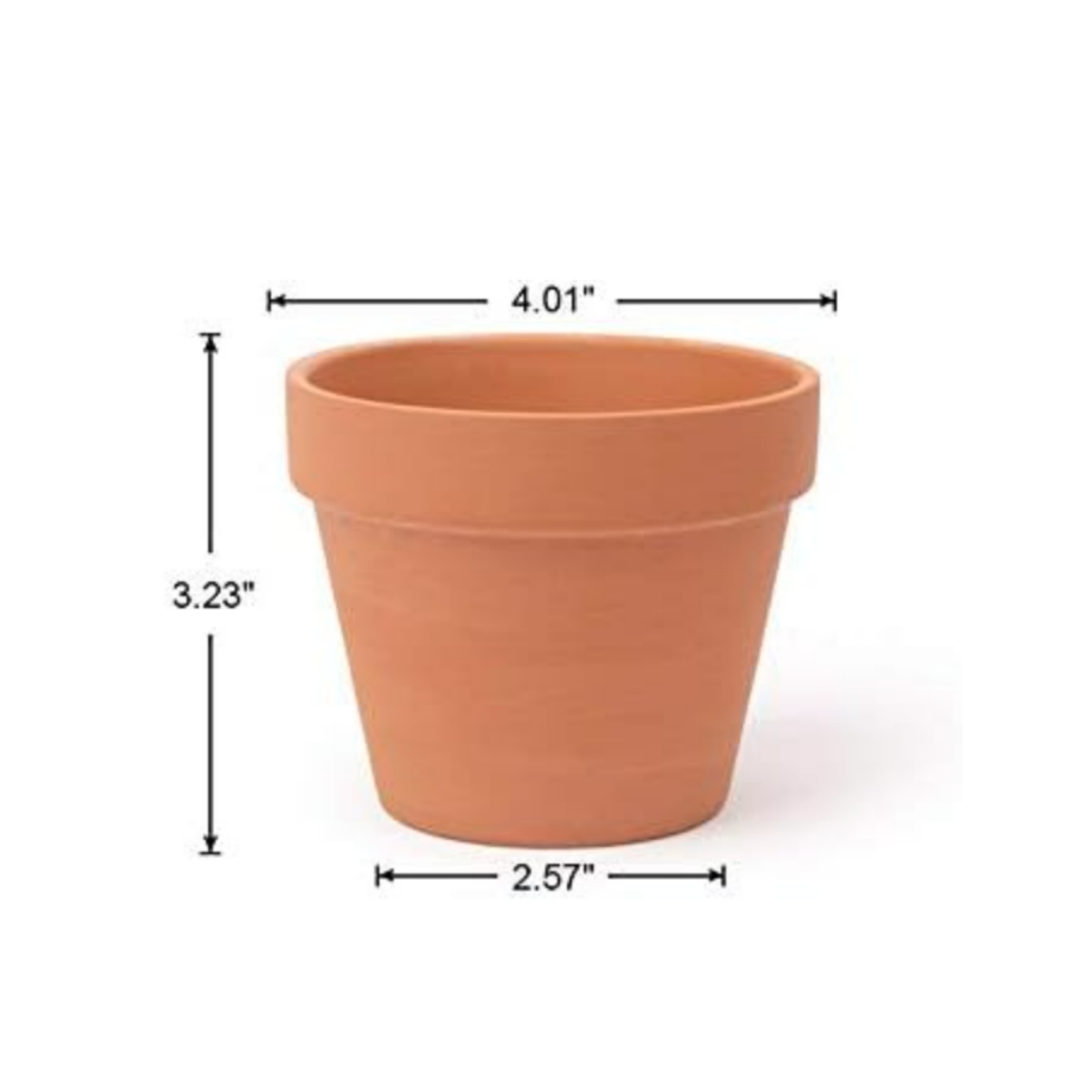 6pcs 4 inch Terracotta Pots Fl - Echeveria Succulent 评论和价格