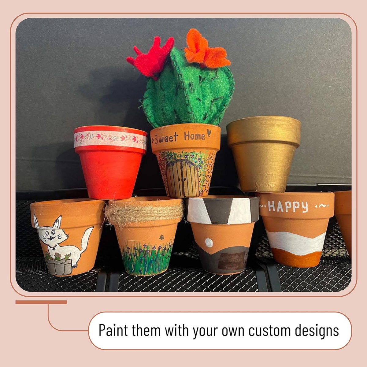 6pcs 4 inch Terracotta Pots Fl - Echeveria Succulent 评论和价格