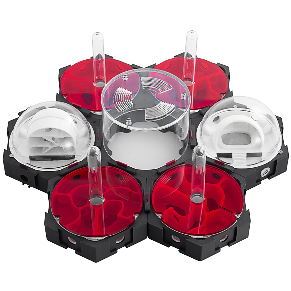 3D Printing Ant Nest Infinitel - Begonia Rex 评论和价格