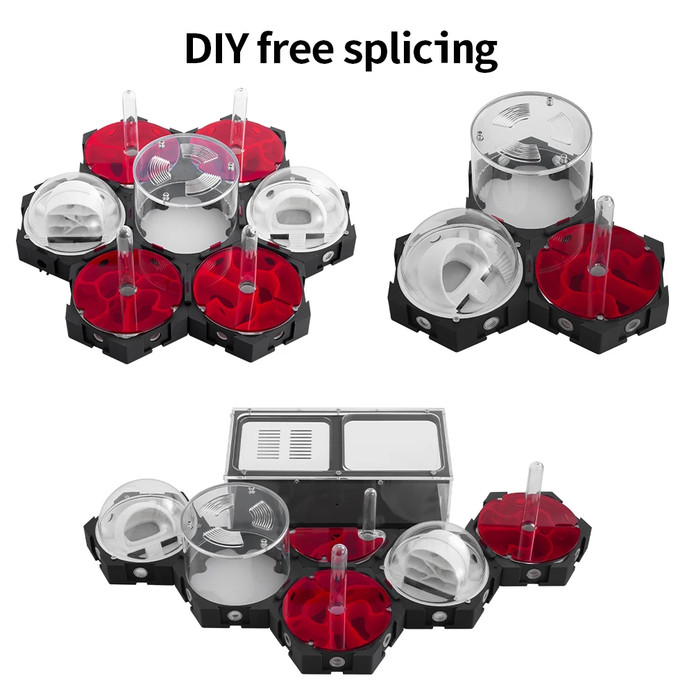 3D Printing Ant Nest Infinitel - Begonia Rex 评论和价格