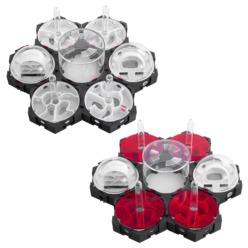 3D Printing Ant Nest Infinitel - Begonia Rex 评论和价格