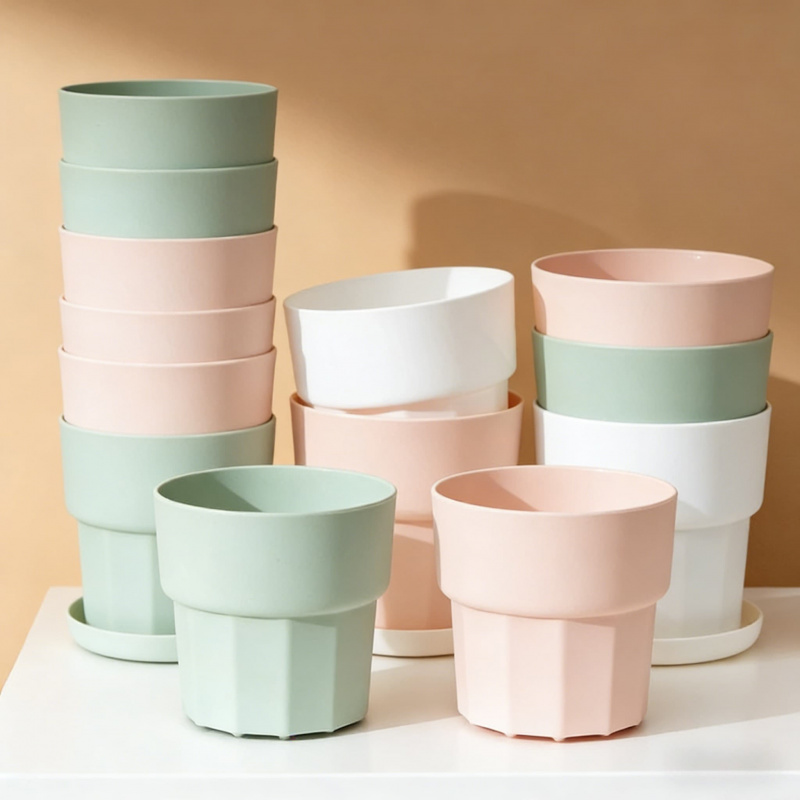 Thickened Shatterproof Plastic - Echeveria Succulent 评论和价格