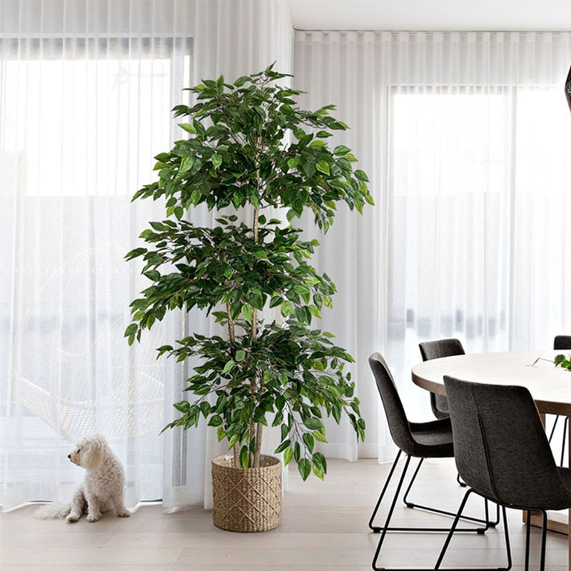 70in Ficus Artificial Tree Lar - Ficus Lyrata Tree 评论和价格