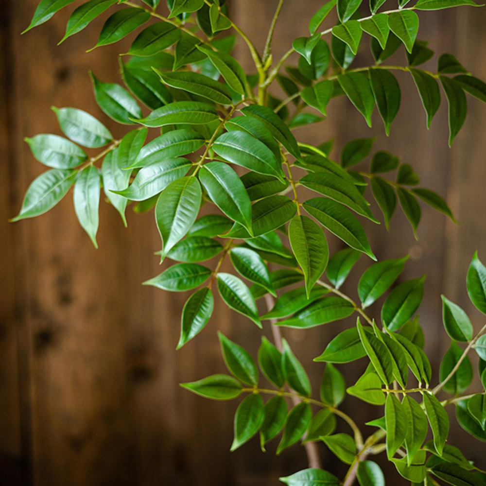 76-140cm Large Artificial Ficu - Ficus Lyrata Tree 评论和价格