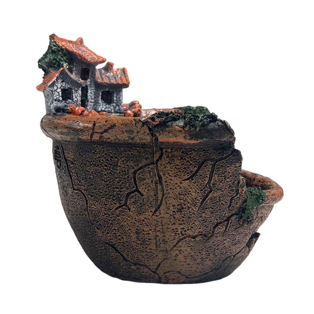Succulent Pot Vintage Multi Po - Echeveria Succulent 评论和价格