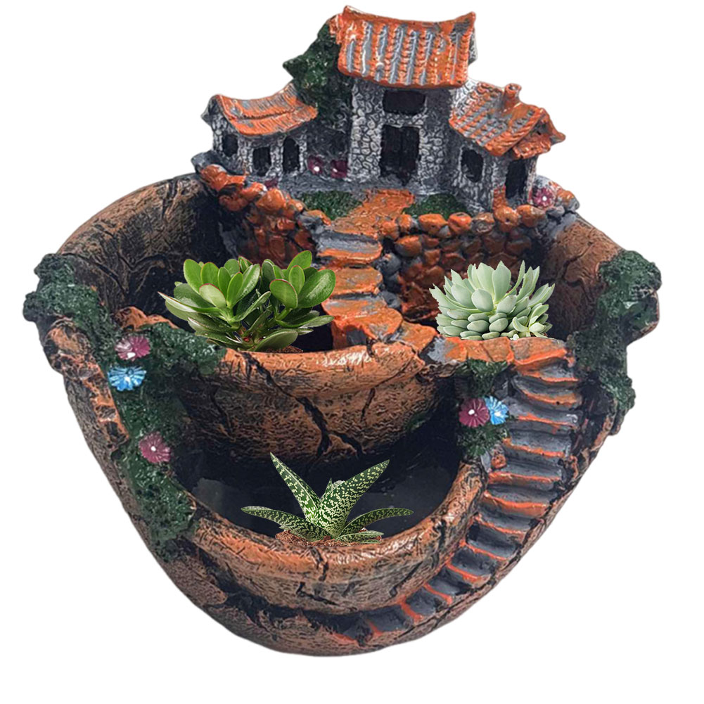 Succulent Pot Vintage Multi Po - Echeveria Succulent 评论和价格
